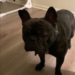 Meet your Posher, Omar